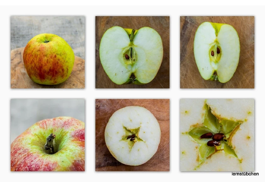 ich bleibe beim Apfel